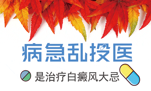 ΰ绤·2